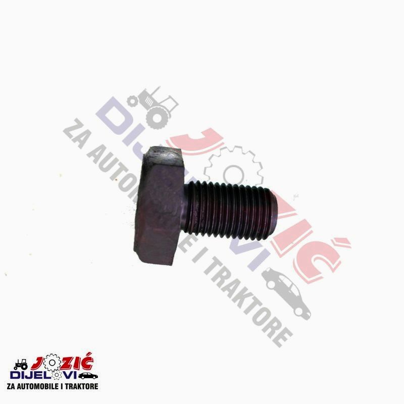 Daisy on the Ohoopee